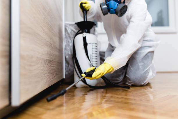 Best Wasp Removal Services  in Cross Plains, TN