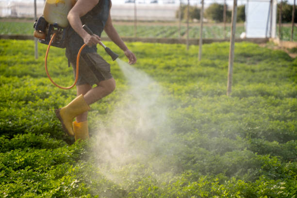Best Mosquito Control Services  in Cross Plains, TN