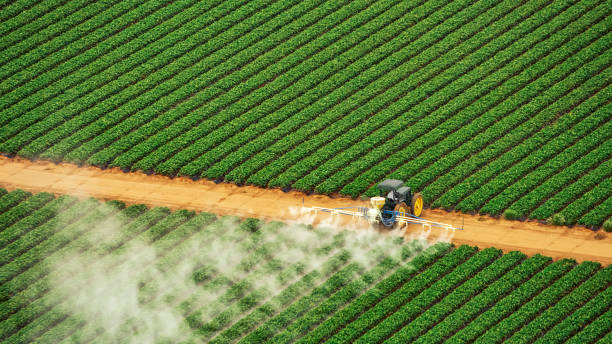 Best Pest Inspection Near Me  in Cross Plains, TN