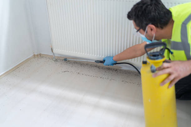 Best Termite Control Services  in Cross Plains, TN